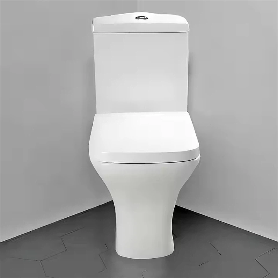 Corner Mount Toilet